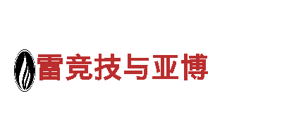 玩转6566体育app，尽显创意魅力！